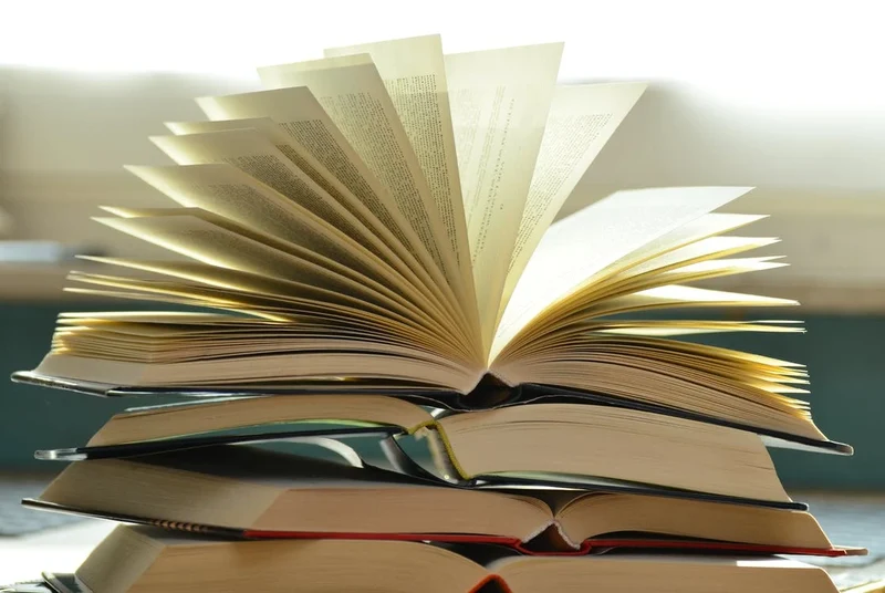 Borse di studio e contributi libri di testo a.s. 2024/2025