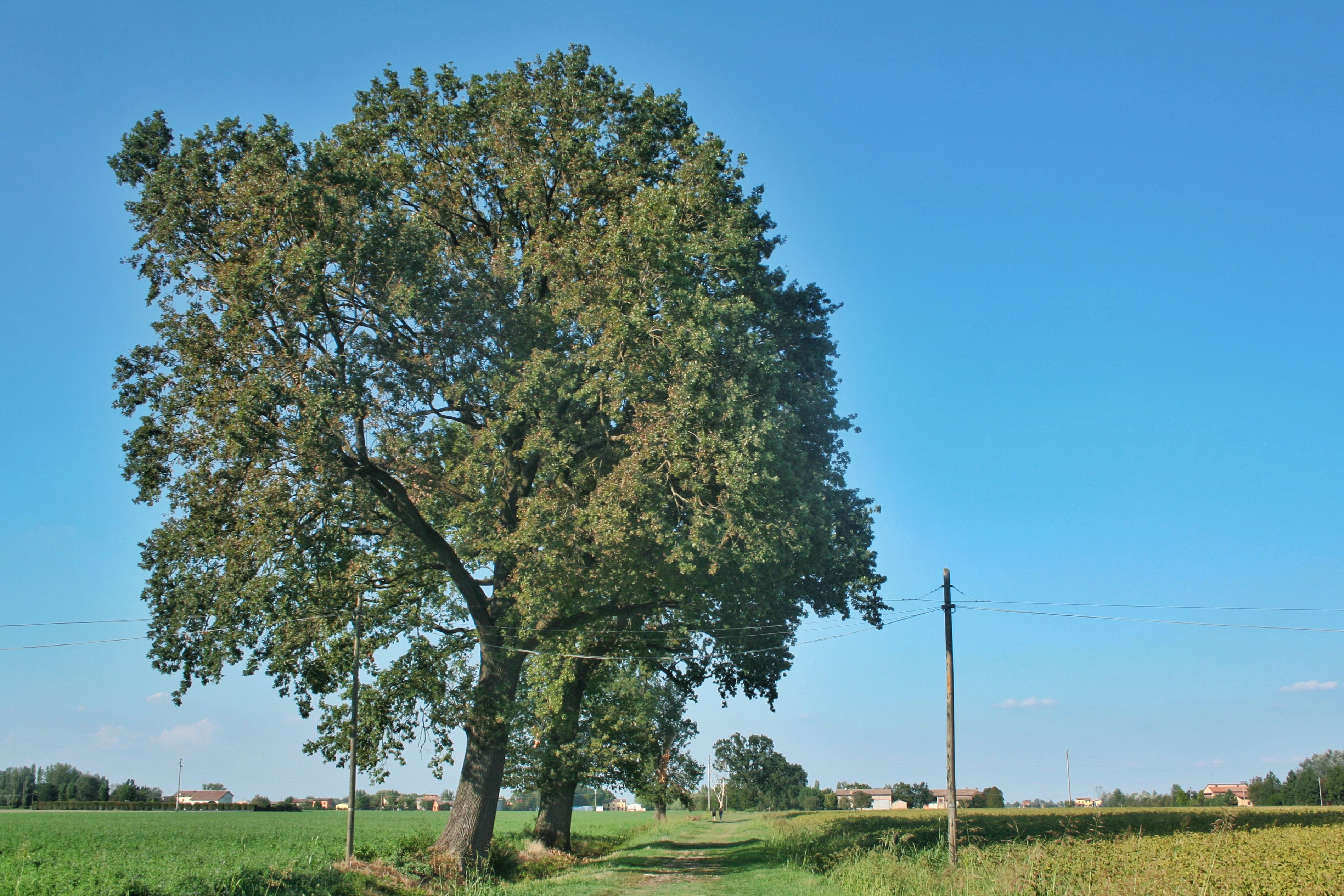 Immagine di torretta di osservazione