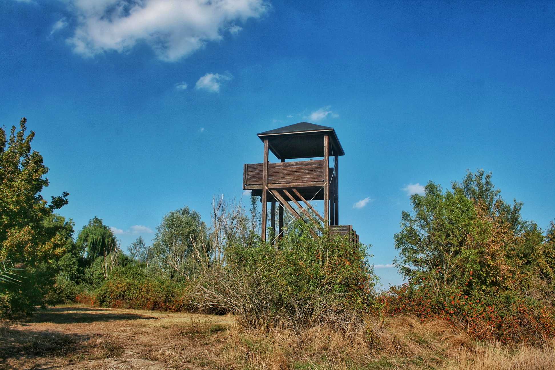 Immagine di torretta di osservazione