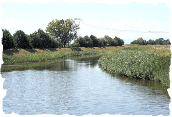 Immagine tratto canale di burana